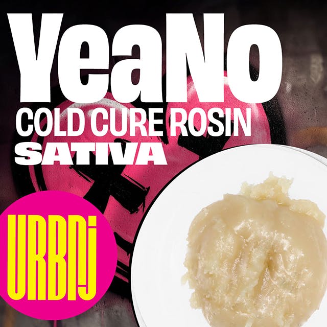 YEANO | COLD CURE ROSIN |