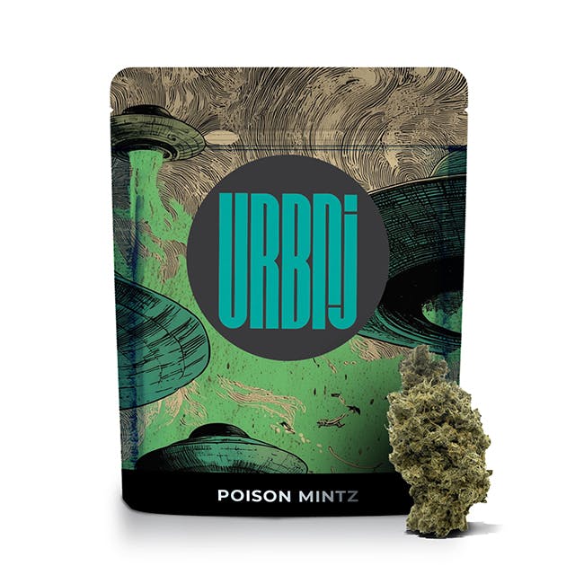 POIZON MINTZ | PRE-GROUND |