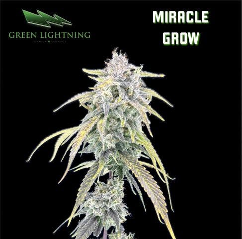 MIRACLE GROW WHOLE FLOWER |