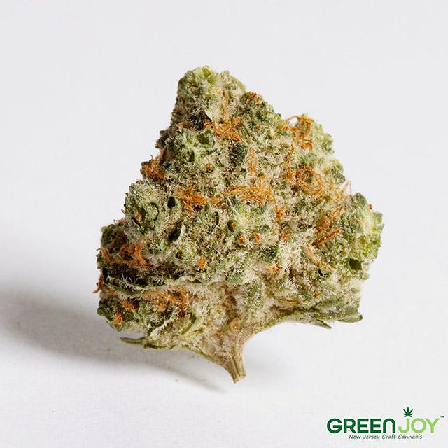 FRUITY GUM | WHOLE FLOWER | 3.5G