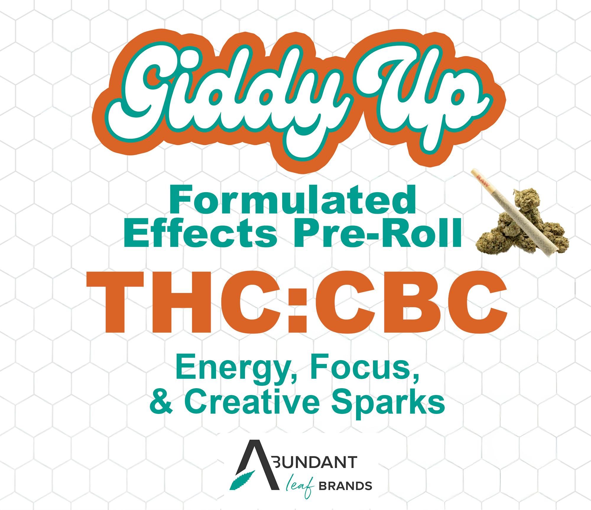 GIDDY UP | TROPICAL SUNRISE 1:1 | PRE-ROLL |