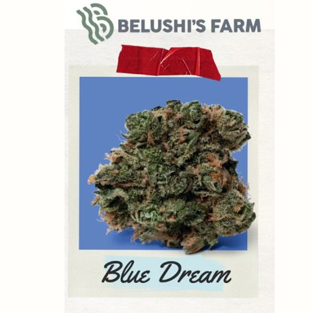 BLUE DREAM | WHOLE FLOWER | 3.5G