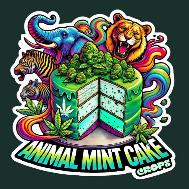 ANIMAL MINT CAKE | WHOLE FLOWER |