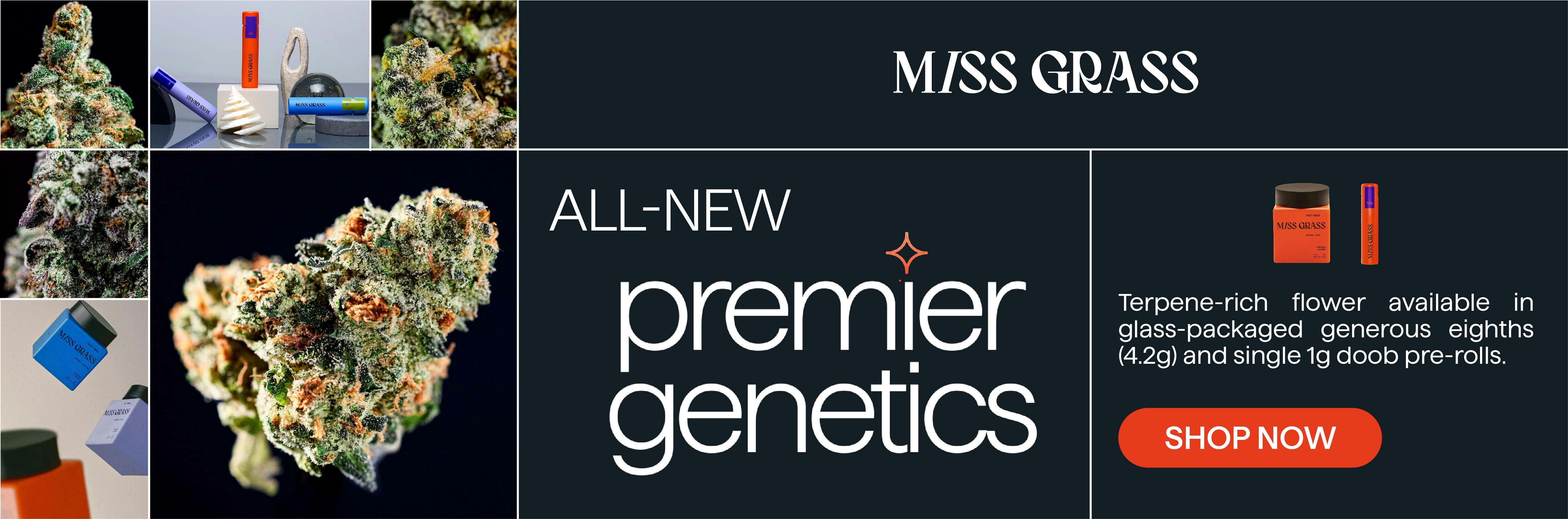 Fort Lee, NJ Dispensary Medical Menu Ascend Cannabis