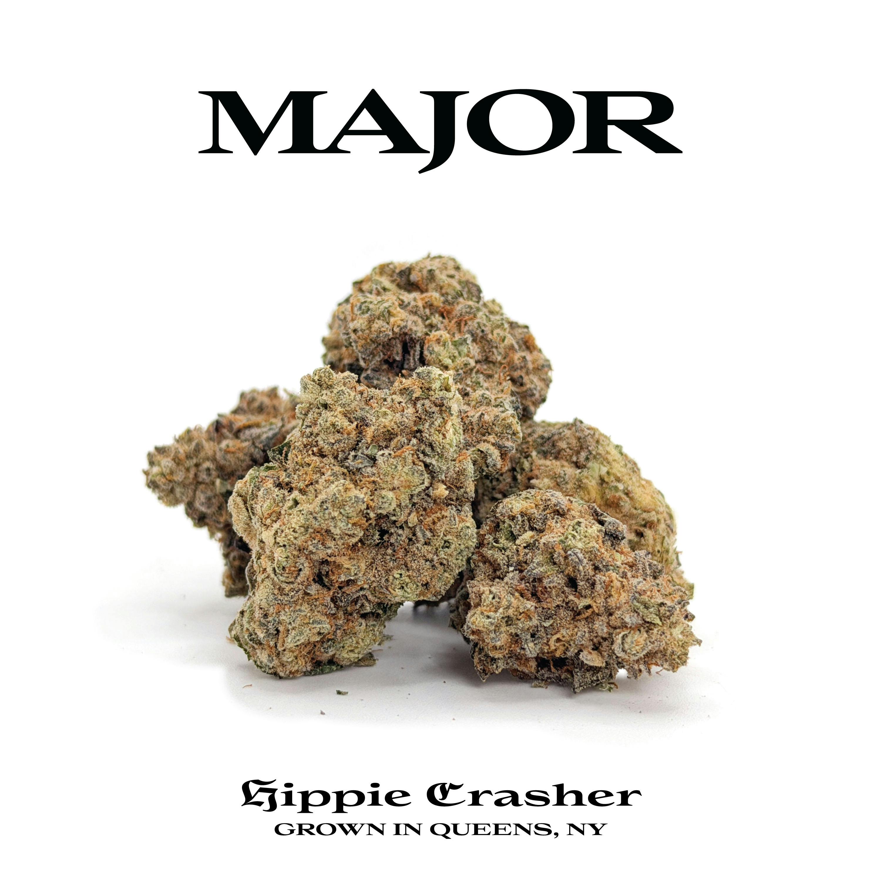 Major | Hippie Crasher | Flower | Indica | 3.5g