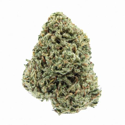 Slack Hollow | Jet Fuel Gelato | Flower | Indica | 14G