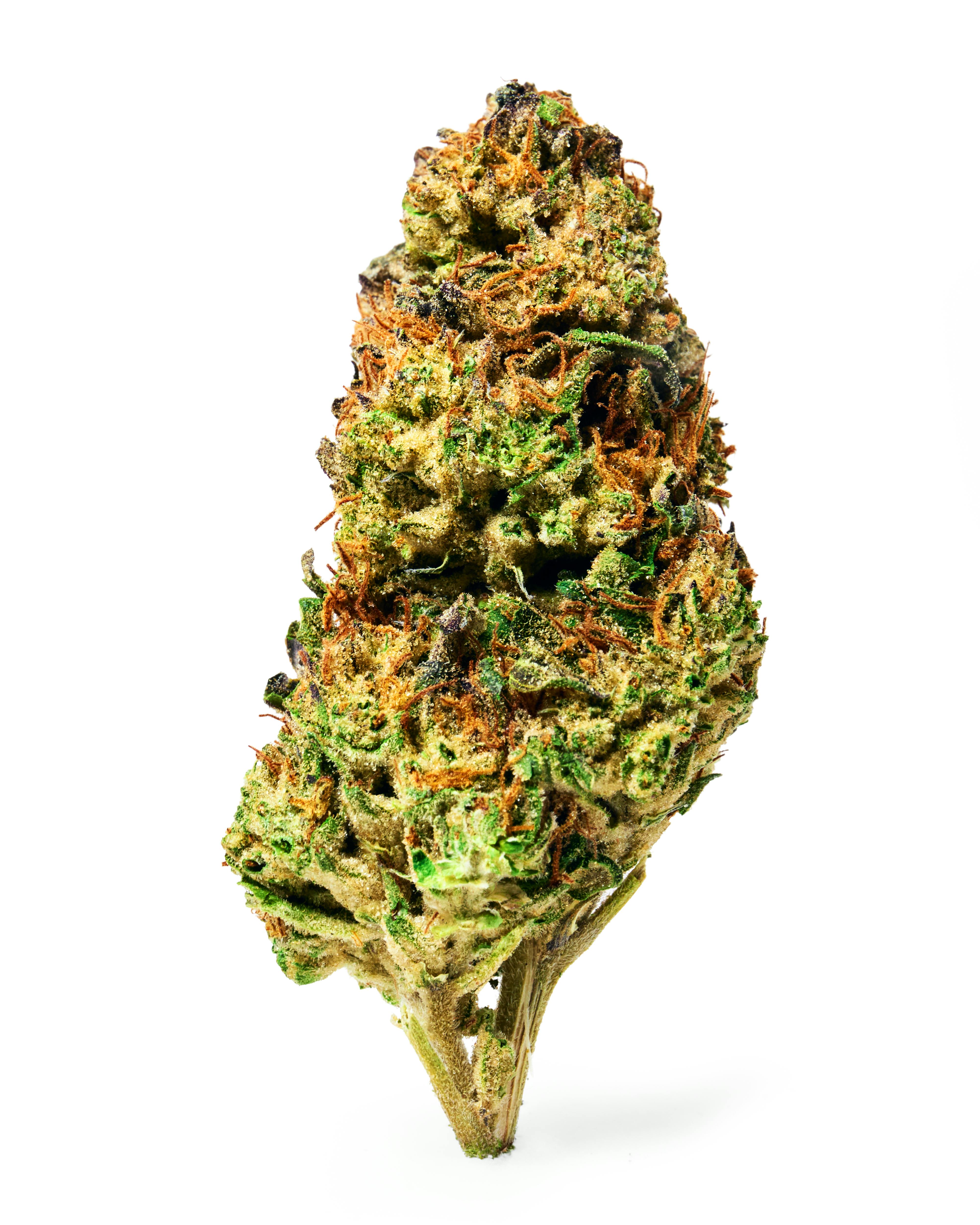 Dada Daily | Hash Burger | Flower | Indica | 7g