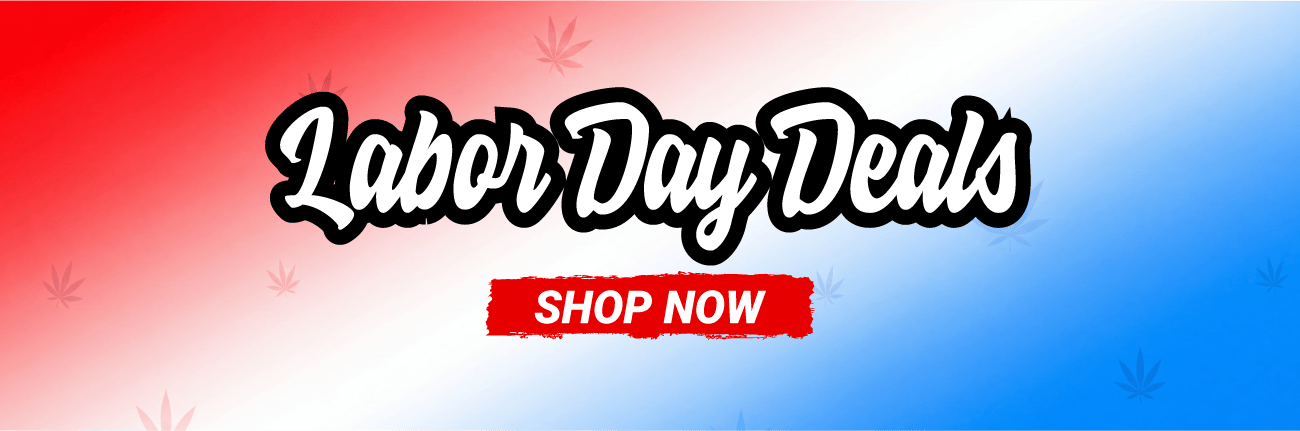 Shop the best weed deals at Chronic Boutique