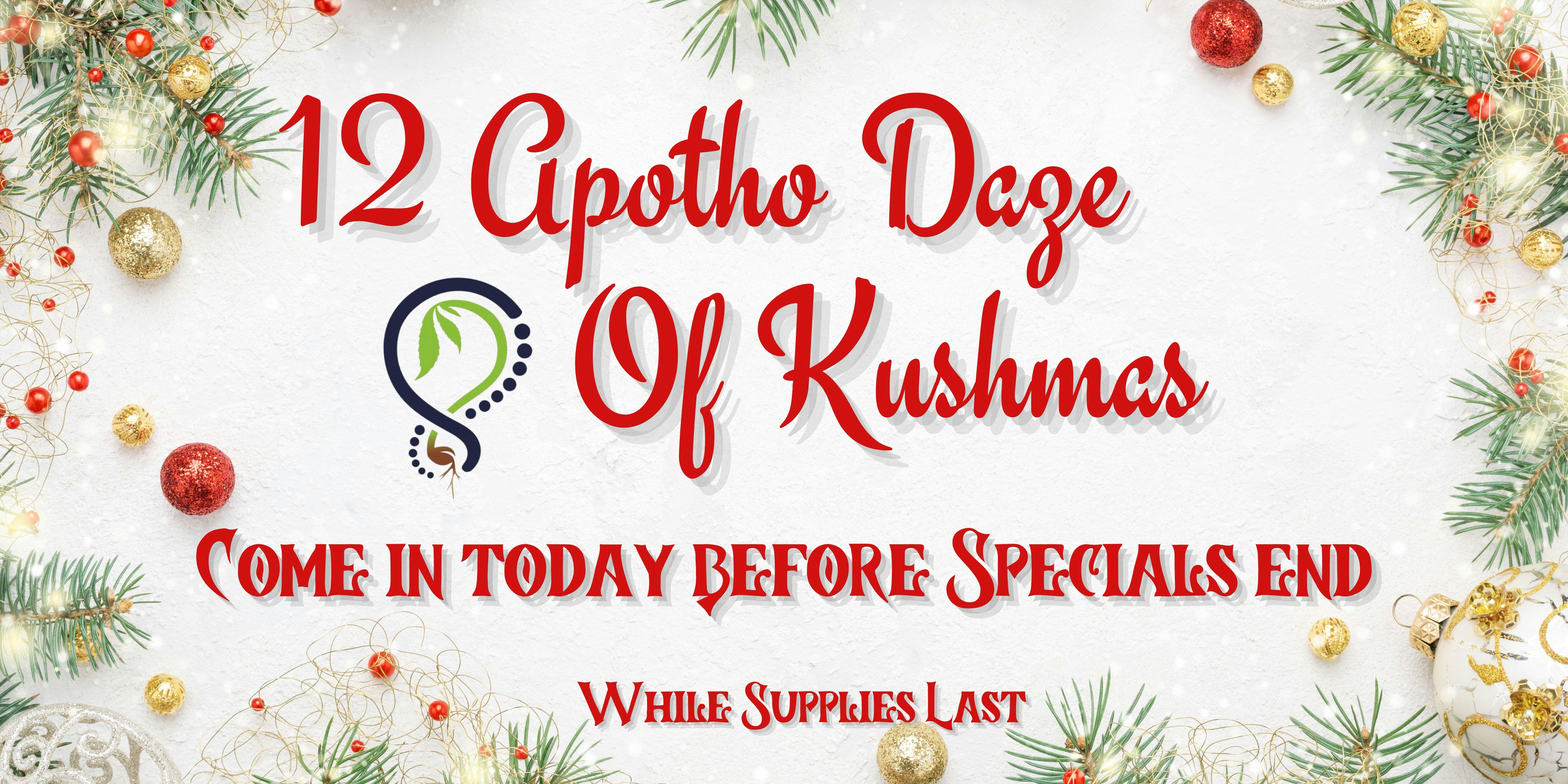 12 Apotho Daze of Kushmas- Plainville