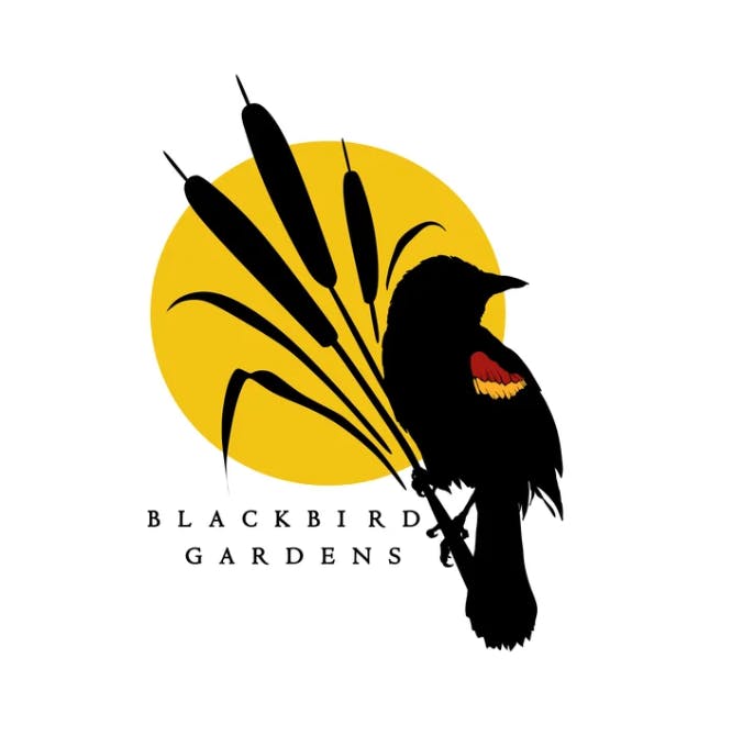 Blackbird Gardens | Rosin 1g | Galactic Bear Sap | Hybrid