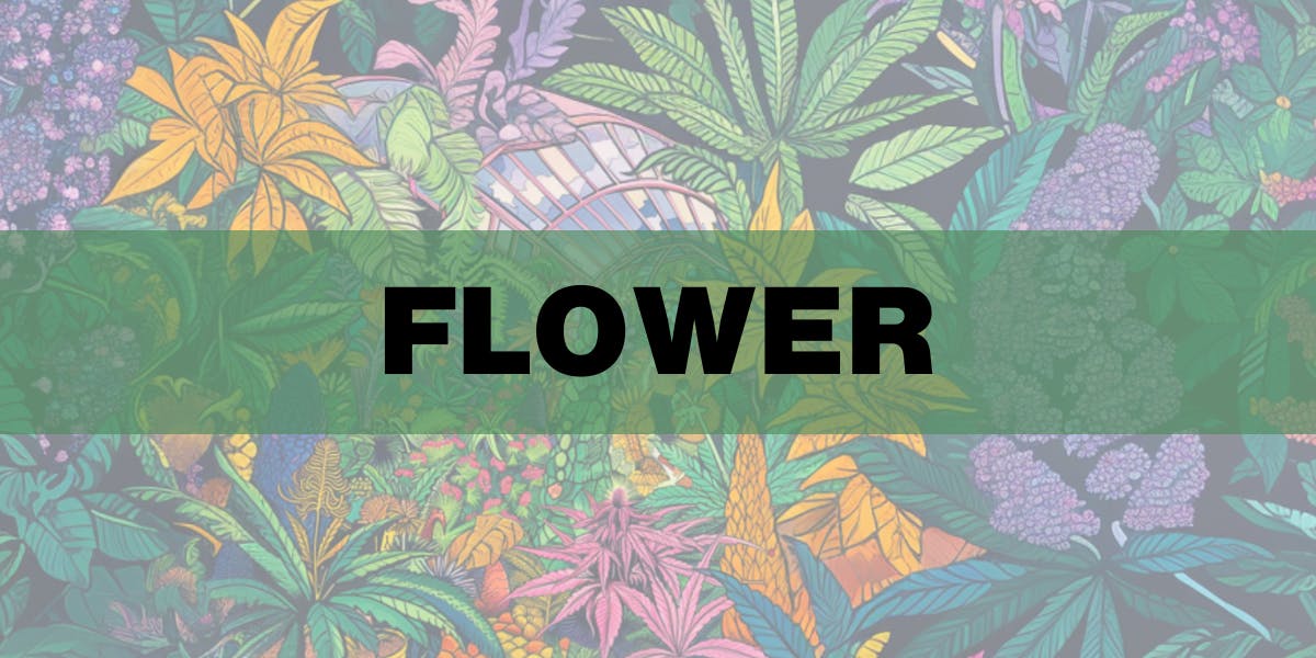 Flower! 20-40% Off!