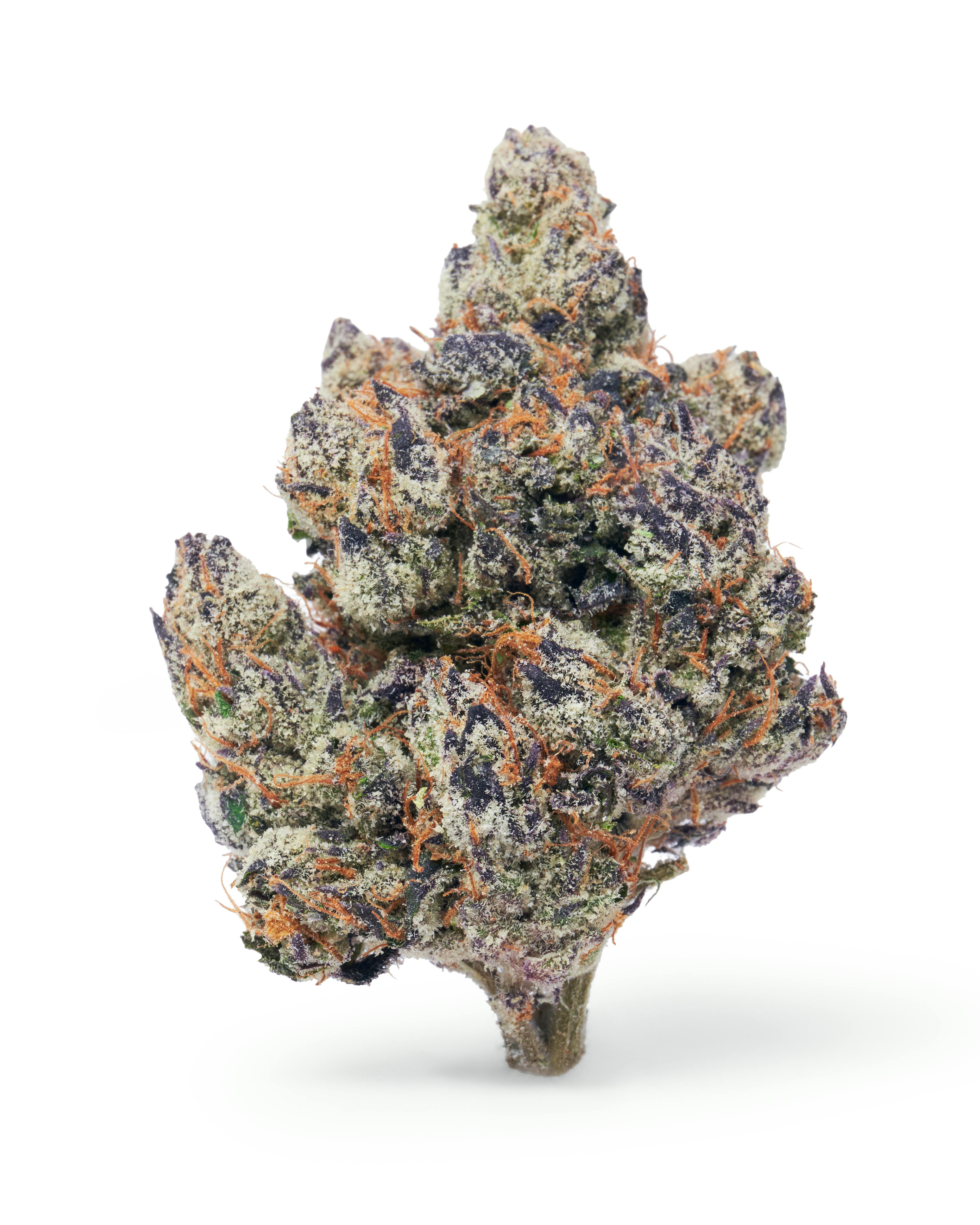 Dada | Sour Gusherz | Flower | Hybrid | 3.5g