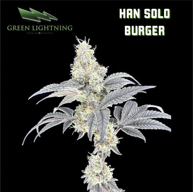 F734ab9557512a3c 1e43a152 F84f 4022 A2c6 0c66c86e9e70 1f7ff8b3 B5ab 4af6 Beb5 Fbb0a1d912ce Null 17 10 25 14 33 45