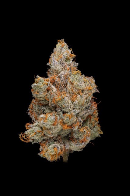 F734ab9557512a3c 1e43a152 F84f 4022 A2c6 0c66c86e9e70 24e6cc17 00f5 4940 A8ae 366468cb0d49 Null 07 10 25 10 19 38