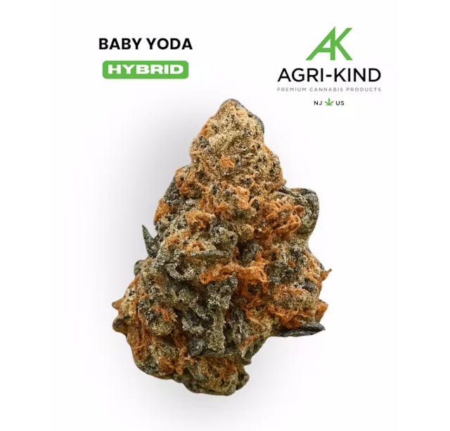 F734ab9557512a3c 1e43a152 F84f 4022 A2c6 0c66c86e9e70 544f51ca Ba8b 42e2 8854 E357bd974eb3 Null 02 10 25 11 34 50