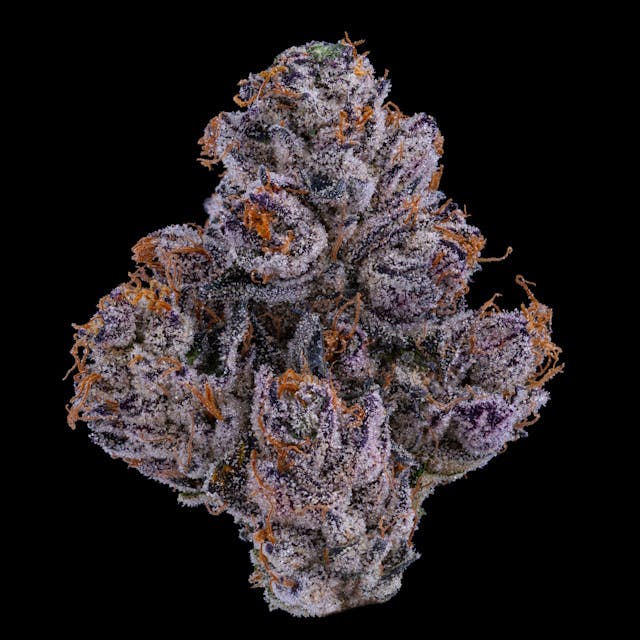 F734ab9557512a3c 1e43a152 F84f 4022 A2c6 0c66c86e9e70 64da6002 D80f 47f0 B3b5 2f46f0fb82d3 Null 07 10 25 10 21 38