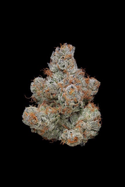 F734ab9557512a3c 1e43a152 F84f 4022 A2c6 0c66c86e9e70 8c36814c 31a2 44d0 99d7 4dfa1ec46c51 Null 07 10 25 10 19 07