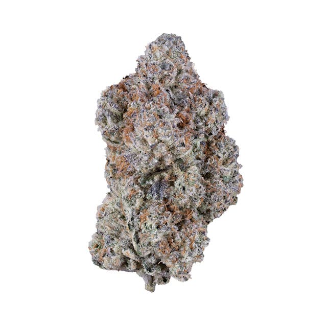 F734ab9557512a3c 1e43a152 F84f 4022 A2c6 0c66c86e9e70 99e6cbf8 70cf 47d7 931e 7c40304dfe53 Null 20 11 25 08 59 34