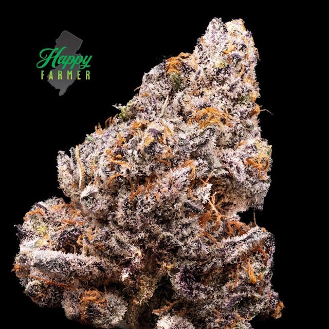 F734ab9557512a3c 1e43a152 F84f 4022 A2c6 0c66c86e9e70 Adffd57c 0cb7 45e4 8ffe 96f872e52559 Null 27 10 25 13 01 11