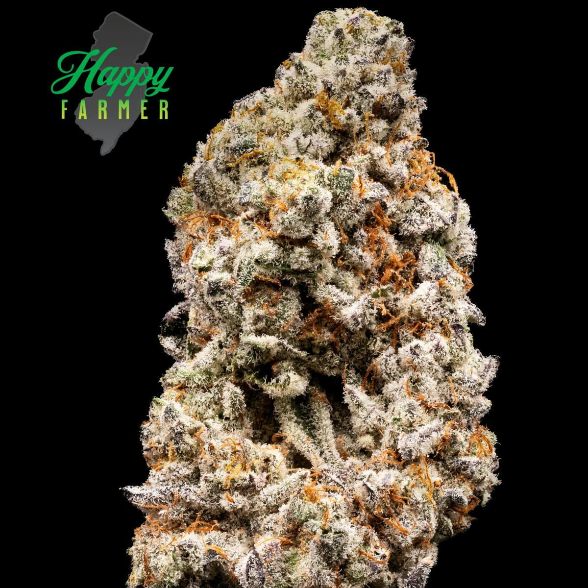 F734ab9557512a3c 1e43a152 F84f 4022 A2c6 0c66c86e9e70 Aef54d4c 5575 4ae9 8035 87ff8dd8138b Null 19 06 25 15 36 24