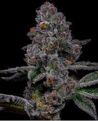 F734ab9557512a3c 2d348019 5c14 4765 8663 D5b8f088296a