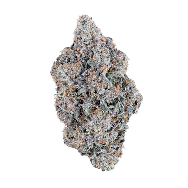 F734ab9557512a3c 2ec9eee7 D846 4a56 Bd03 11f93e3c51b6