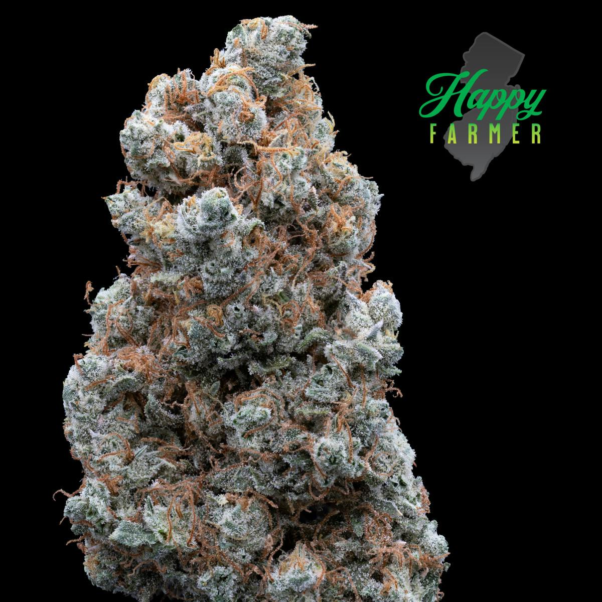 F734ab9557512a3c 3923a220 6dba 4957 89c3 Aa8811b44743