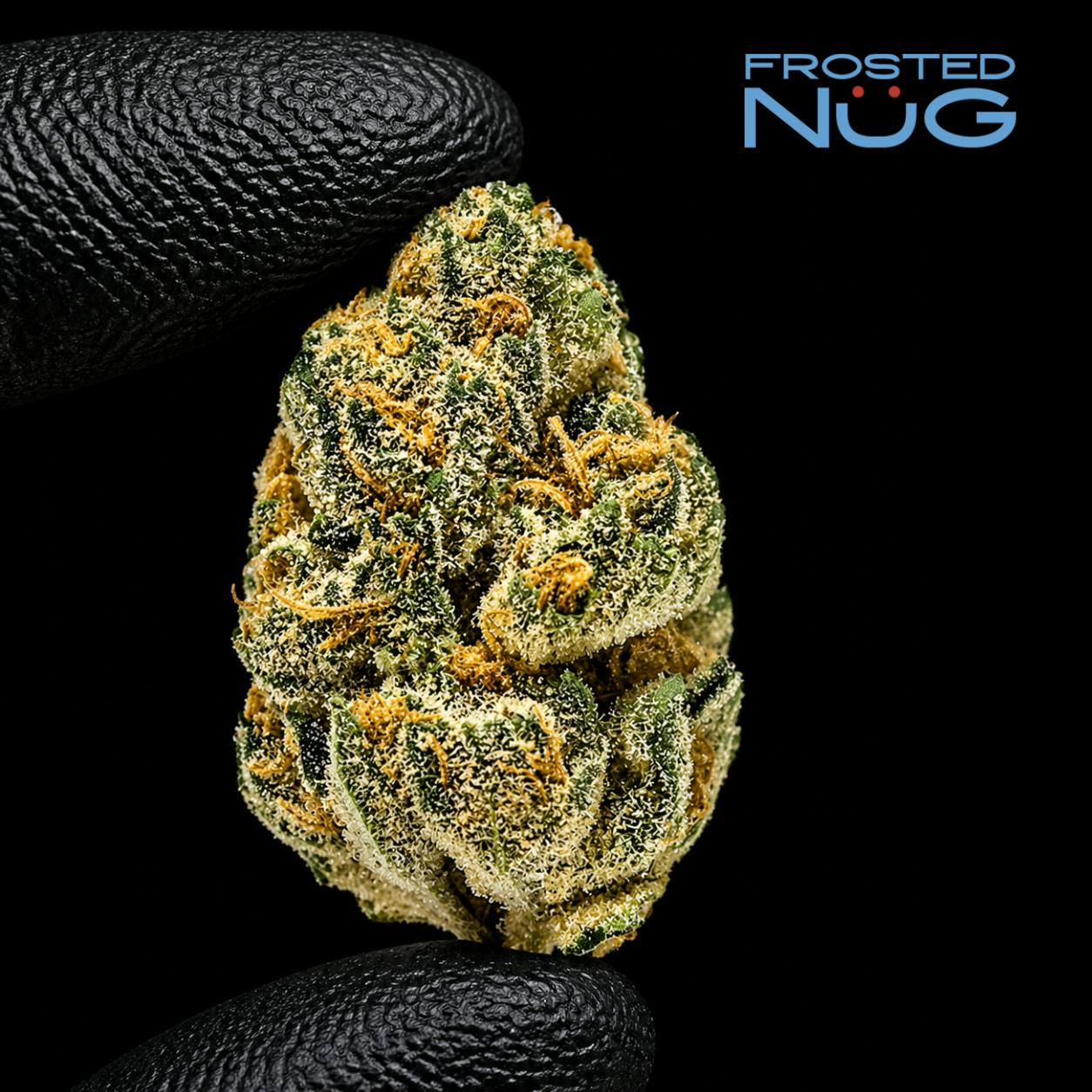 Kind Tree Magic Marker Flower 3.5G
