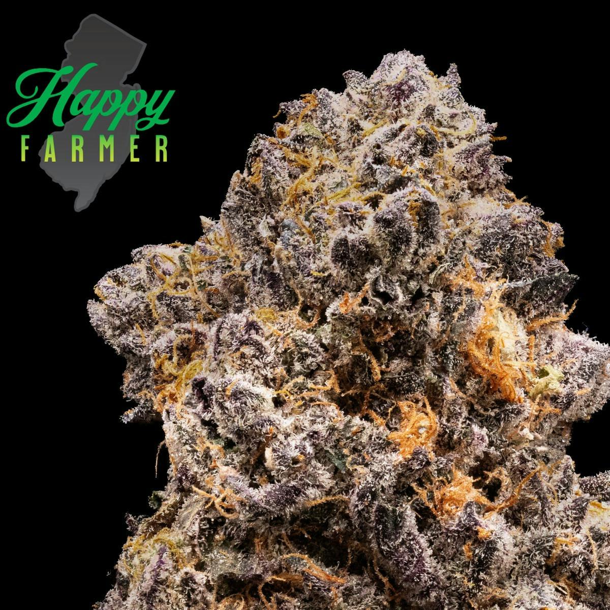 F734ab9557512a3c 862bcc09 Bca3 4d43 B659 D9b8eabe5d7e