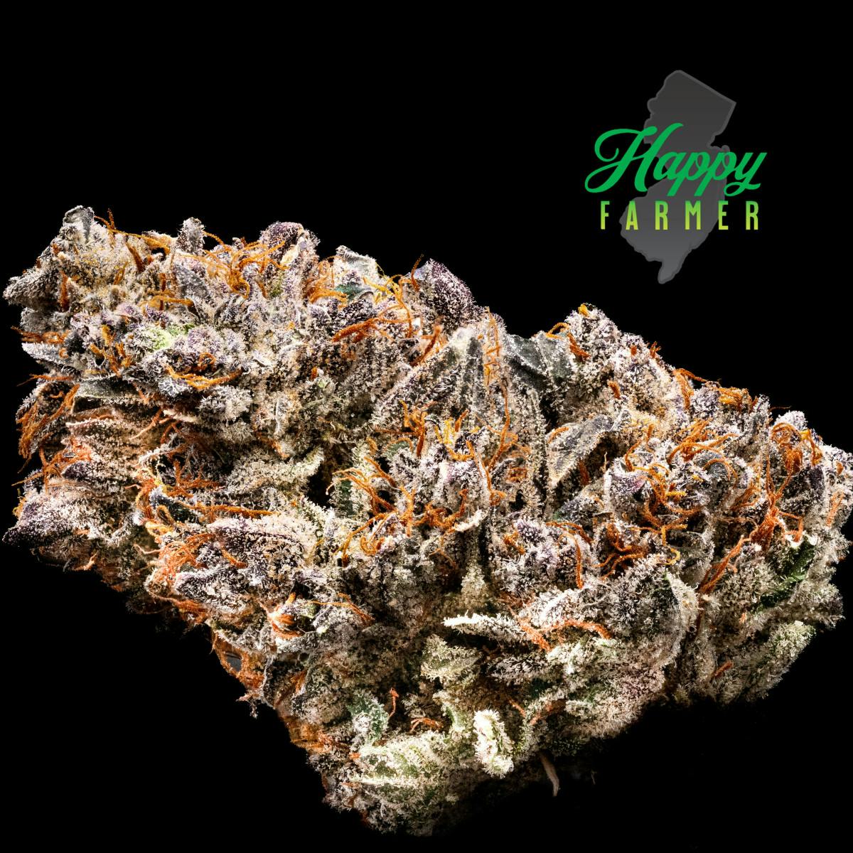 F734ab9557512a3c A00cb891 44ef 41b9 9473 42538ba3ce3e