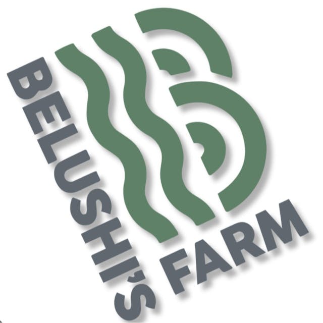 F734ab9557512a3c Fe9b4117 1ba1 4f31 Bfd2 38b1a0f8625a