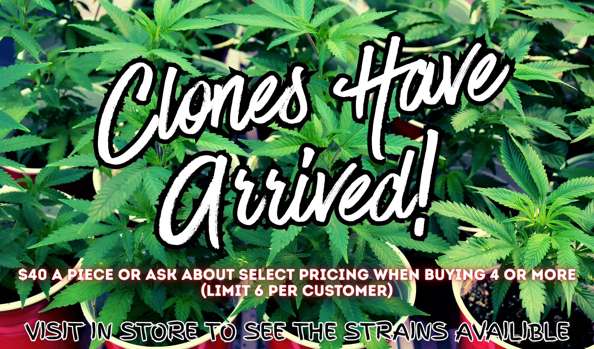 Clones are  Here! See strains in store.