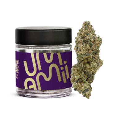 Umamii | Blue Limeade | Flower | Hybrid | 3.5g
