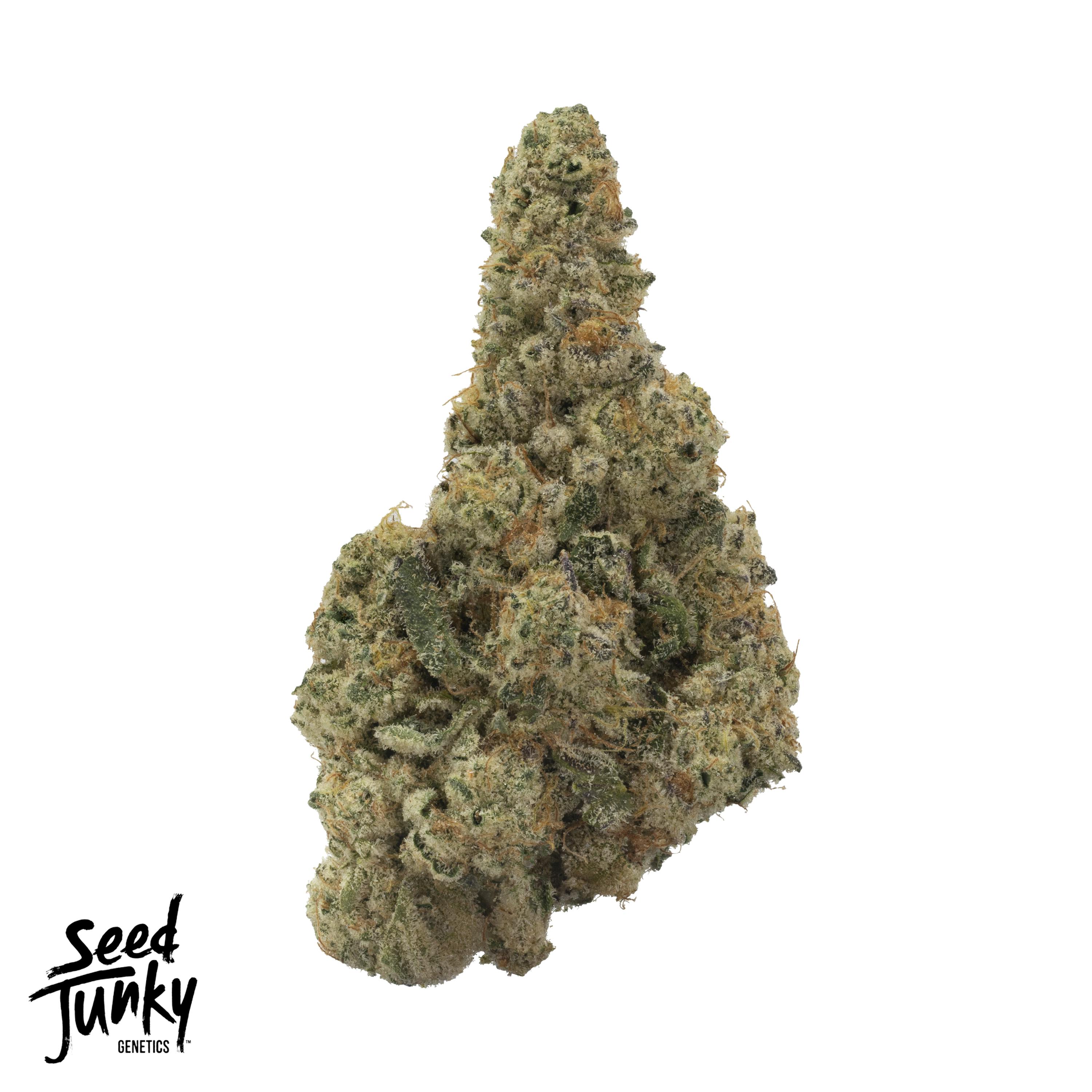 Mango Fruz