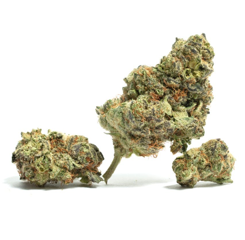 CANDYLATTO 3.5G - 1/8oz in Mastic
