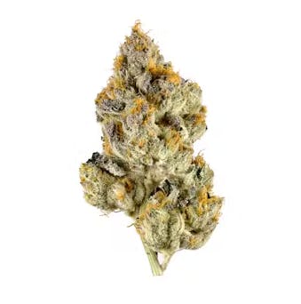 LCG SMALLS OZ - 1oz in Mastic