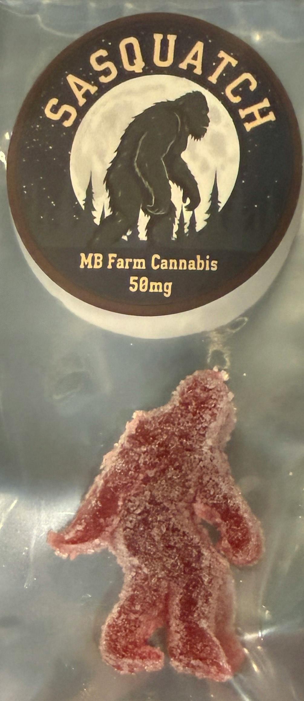 "Sasquatch" Cherry 50mg THC Gummy