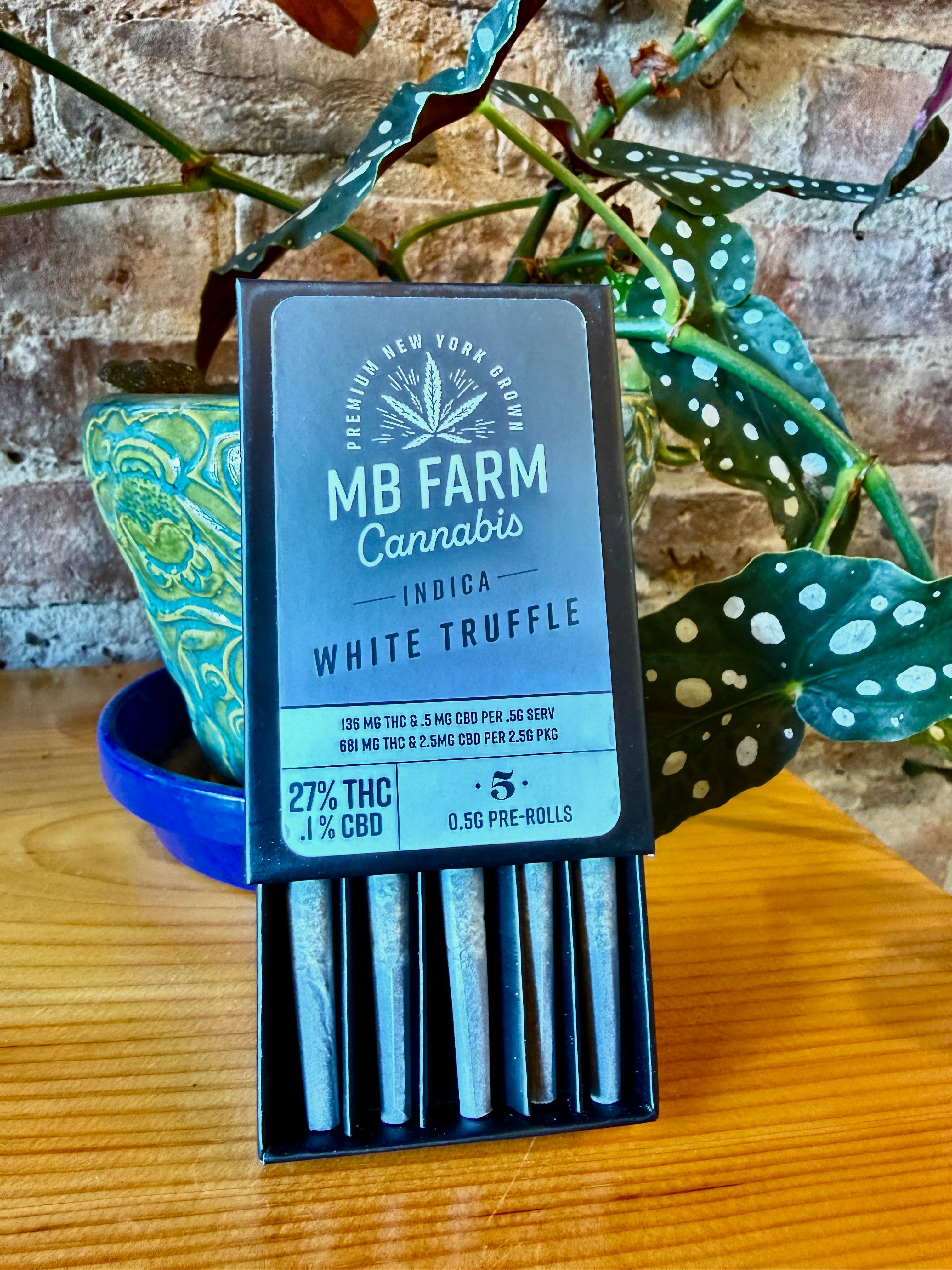 White Truffle PR .5g 5pk