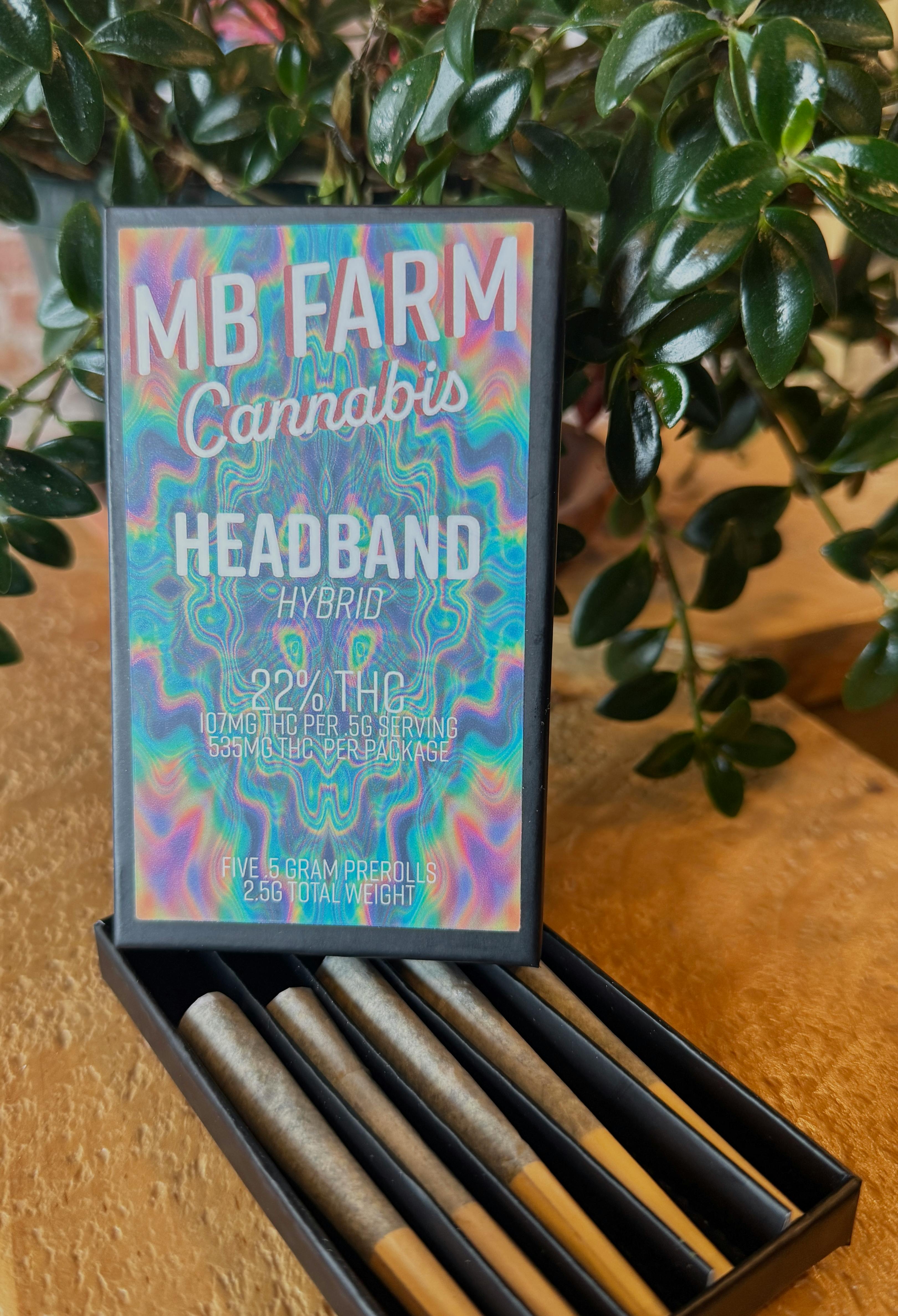 Headband PR .5g 5pk