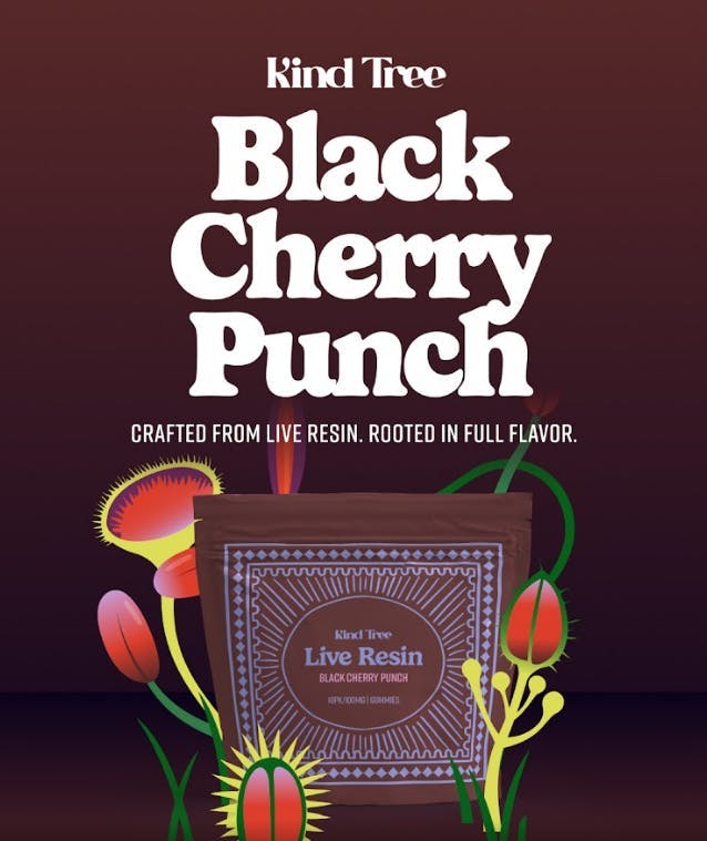 BLACK CHERRY PUNCH | 2-PACK | LIVE RESIN SOFT LOZENGES | 100MG