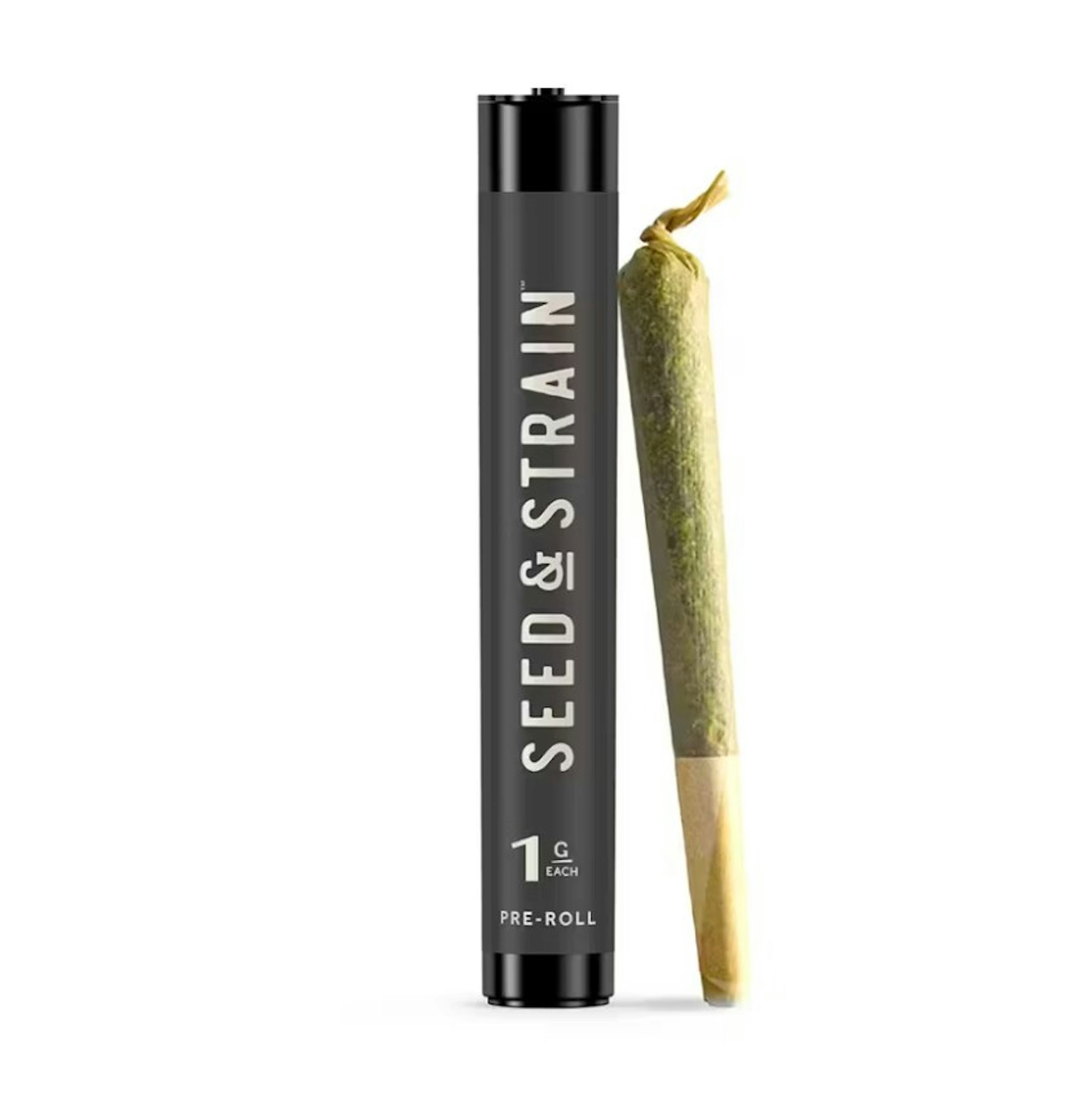 Image of RED ROCKET | 1G