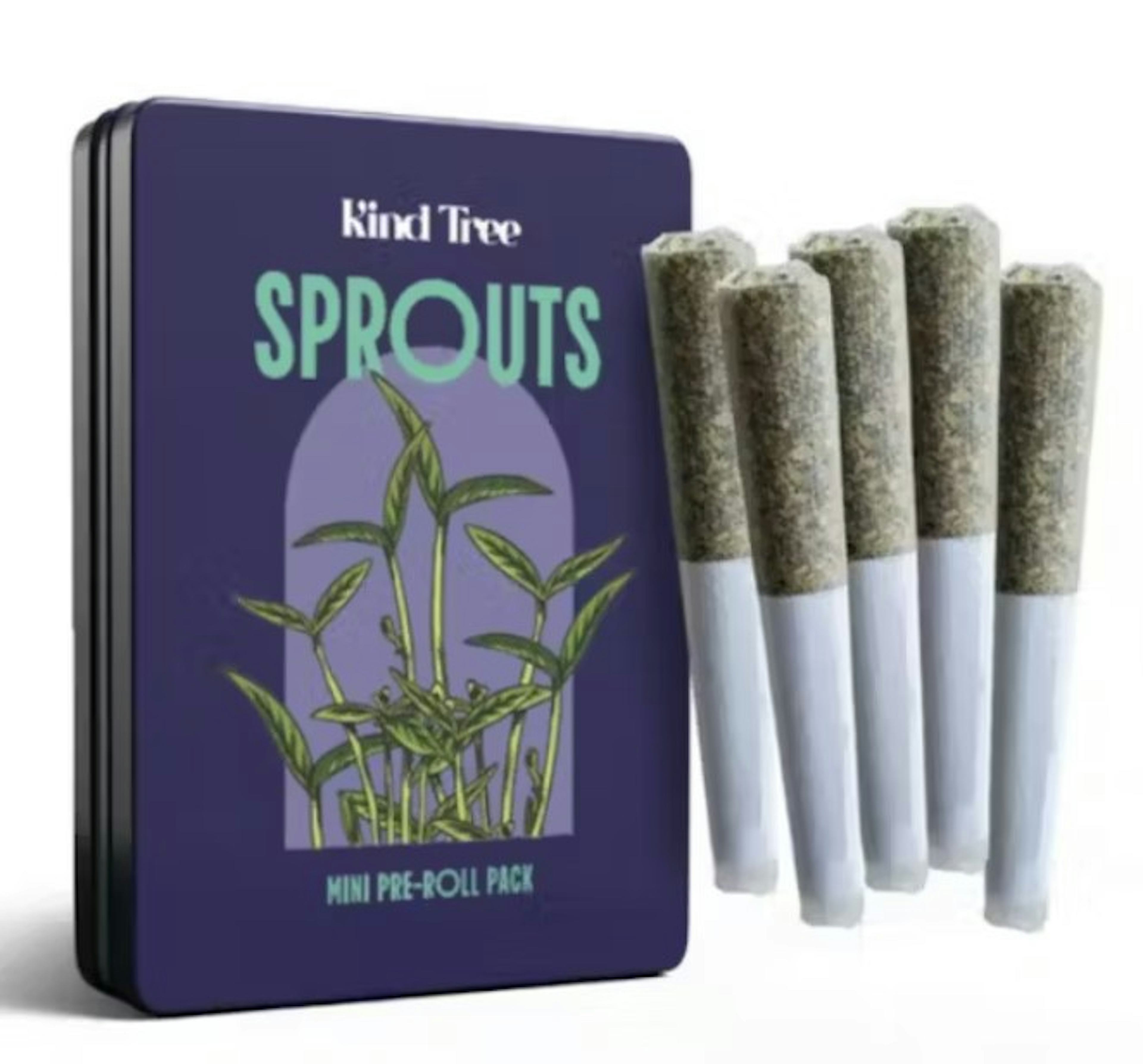 Image of BUBBLEGUM BISCOTTI | 5-PACK | 1.75G