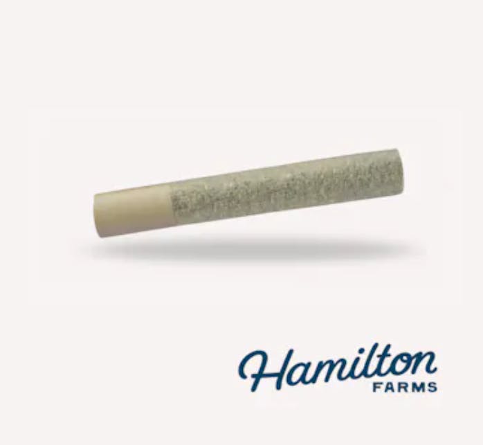 KOSHER KUSH | PRE-ROLL | 1G