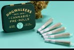 ANIMAL SCOUT #10 | 1.75G | 5PK