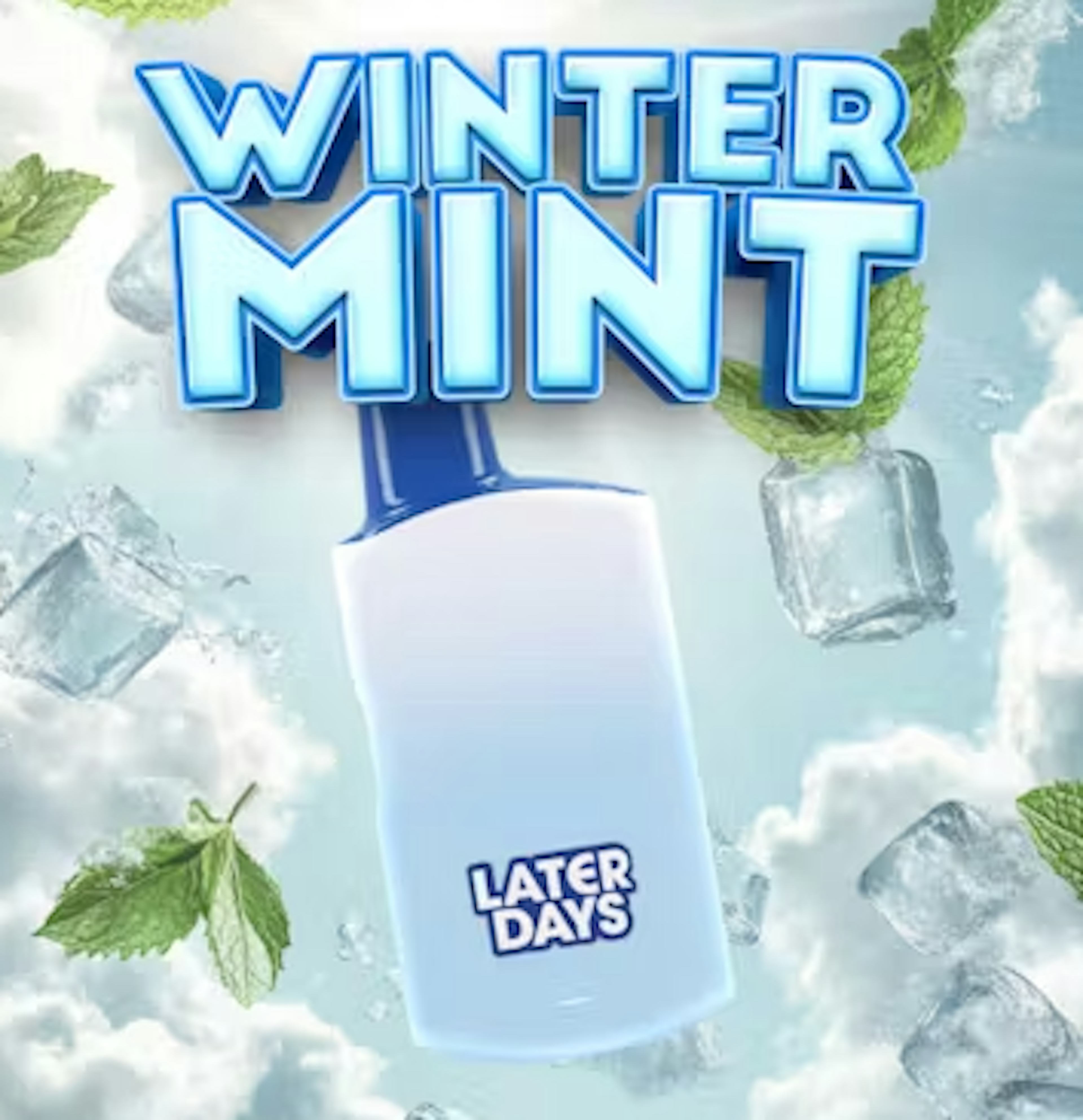 Image of WINTERMINT | 1G | DISPOSABLE