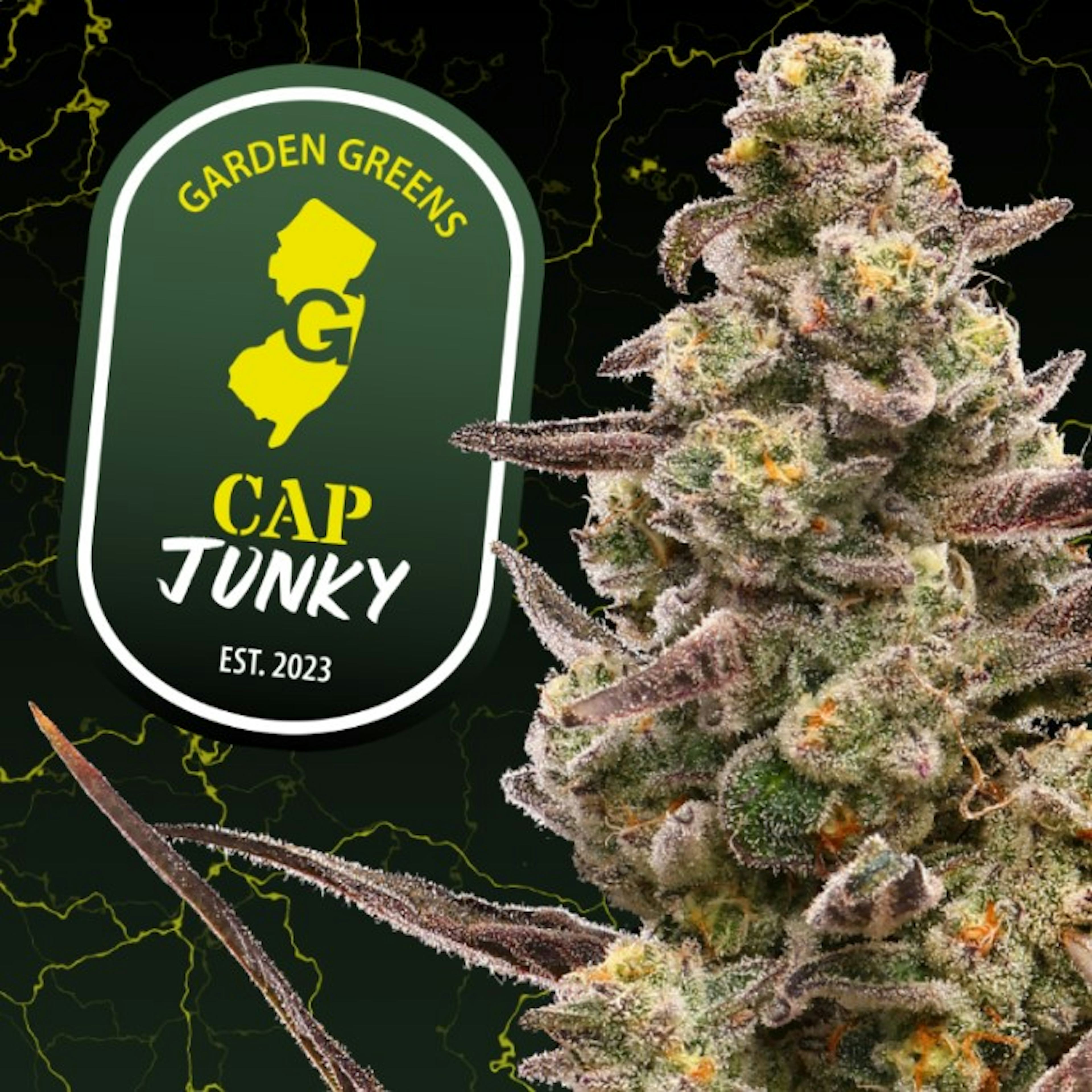 Image of CAP JUNKY | BIG BUDS | 7G