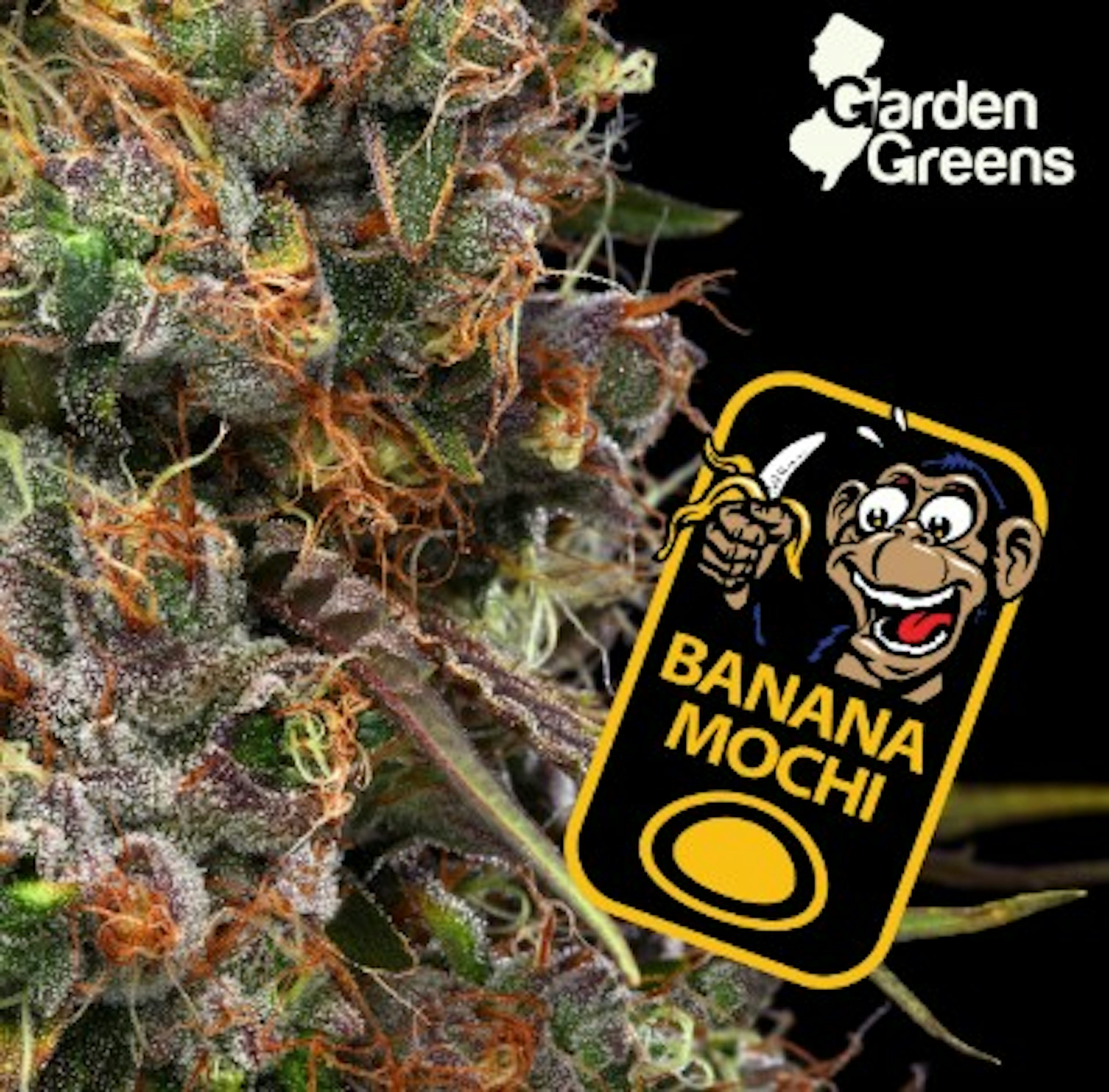 Image of BANANA MOCHI | GARDEN STATE BANANA | 3.5G