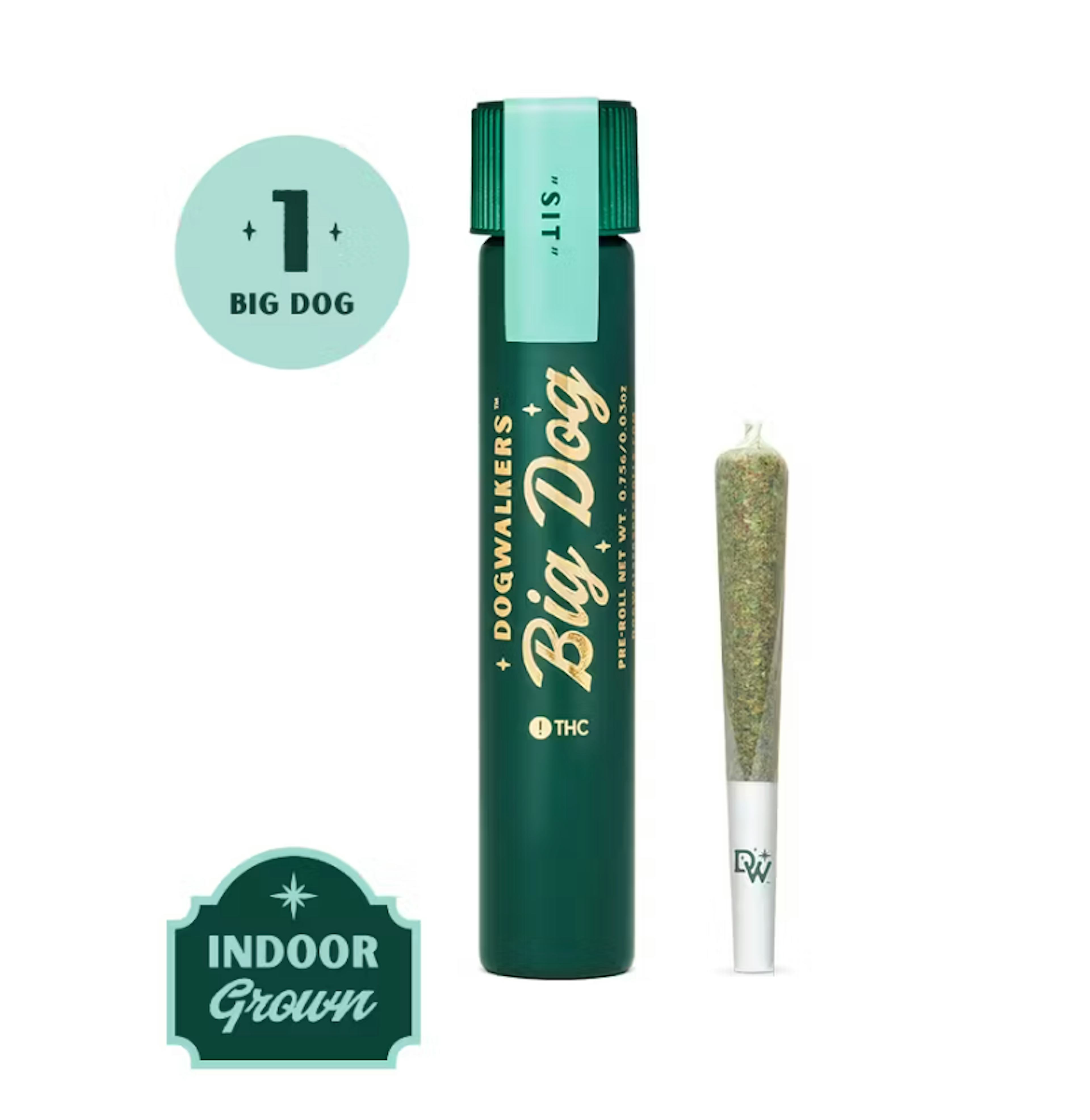 Image of CHEDDAR CHEEZE | 1G