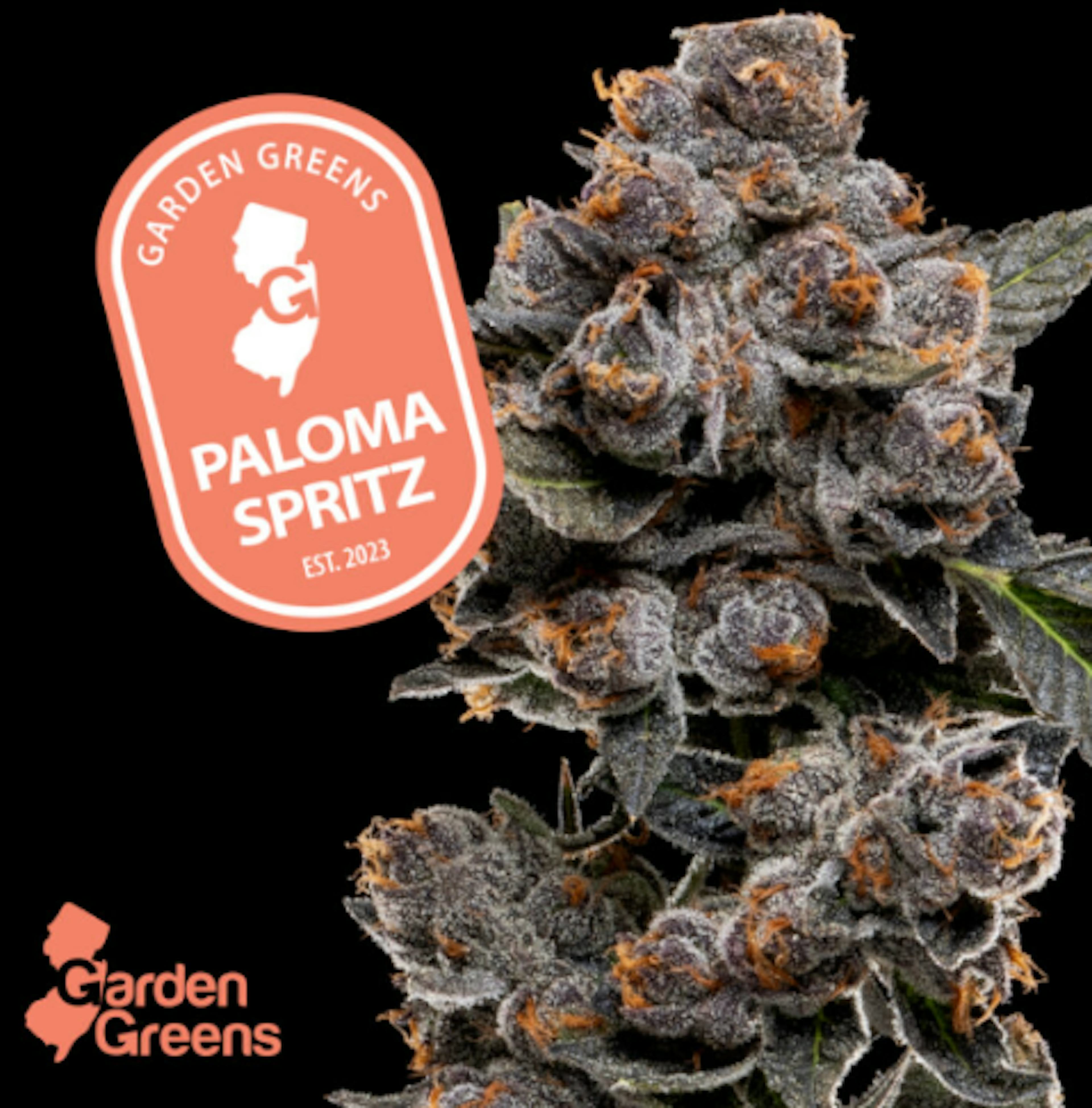 Image of PALOMA SPRITZ | 7G