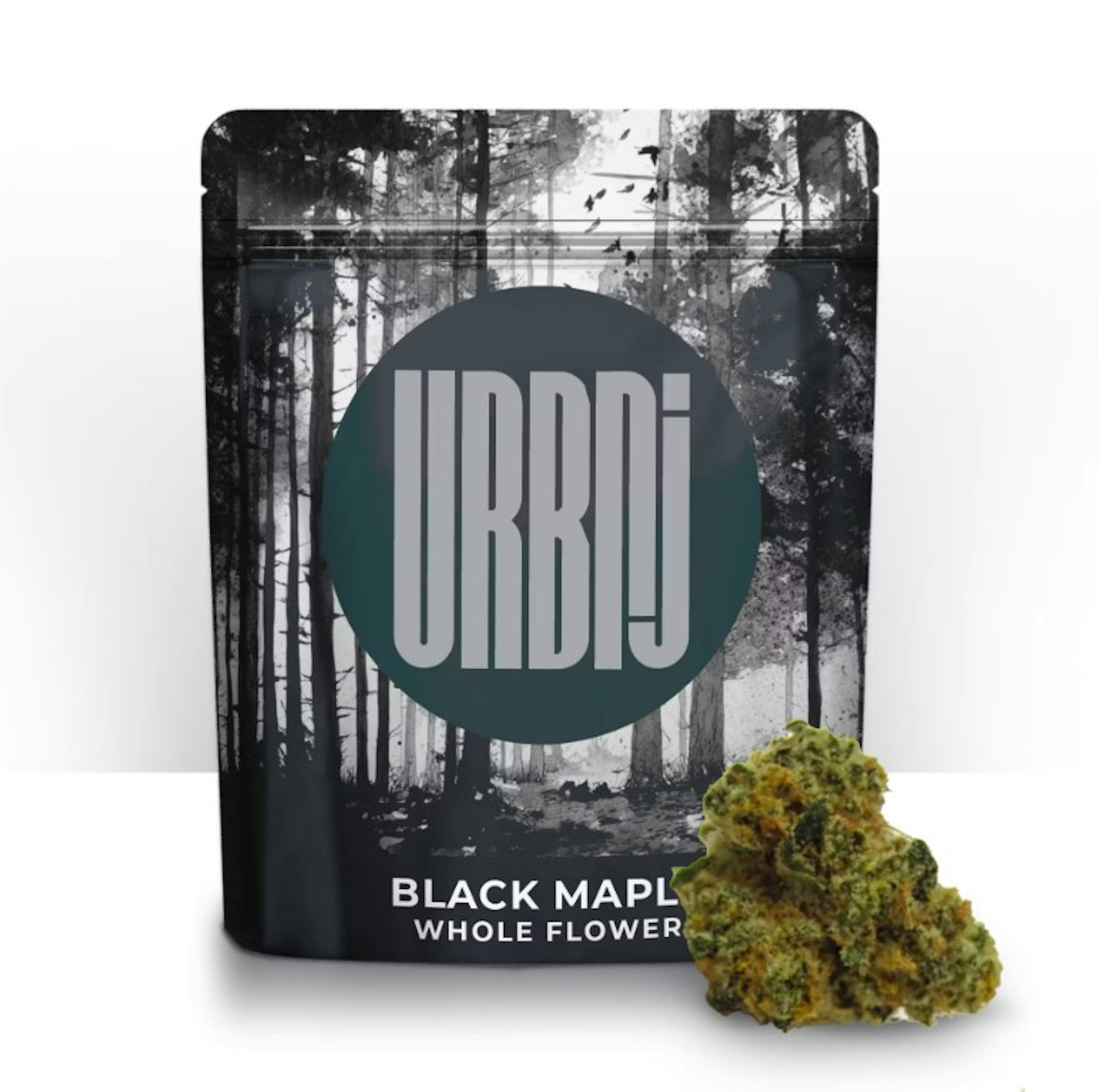 Image of BLACK MAPLE | FLOWER | 1G